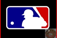 ¿Cómo se llama la liga de béisbol?